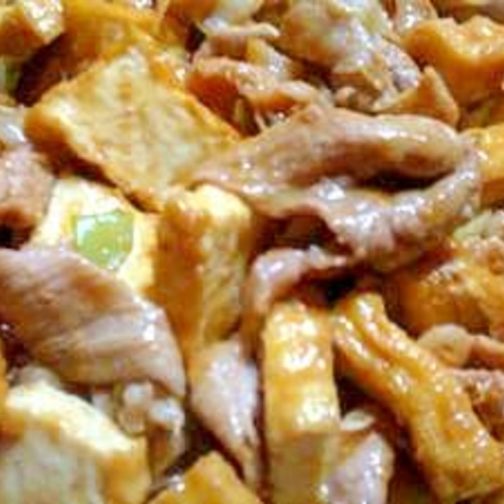 豚肉と厚揚げの生姜味噌炒め★簡単です!